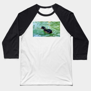 A Wood Duck Swimming With Its Bill Open Baseball T-Shirt